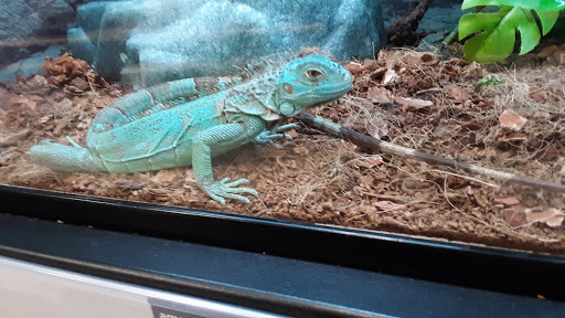 Pet Supply Store «Petco Animal Supplies», reviews and photos, 2000 NE Burnside Rd, Gresham, OR 97030, USA