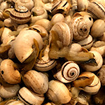 Photo n°2 de l'avis de Luis.e fait le 25/06/2021 à 00:01 sur le  Casa dos Caracóis à Lisbon