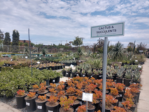 Terra Bella Nursery, Inc. image