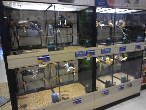 Pet Supply Store «PetSmart», reviews and photos, 3520 S El Camino Real, San Mateo, CA 94403, USA