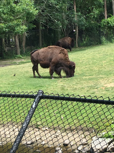 Zoo «Buttonwood Park Zoo», reviews and photos, 425 Hawthorn St, New Bedford, MA 02740, USA