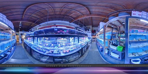Tropical Fish Store «Aquatic Collection», reviews and photos, 1212 W Winton Ave, Hayward, CA 94545, USA
