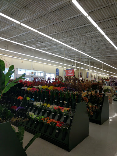 Craft Store «Hobby Lobby», reviews and photos, 1580 Wesel Blvd c, Hagerstown, MD 21740, USA