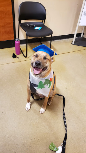 Pet Supply Store «PetSmart», reviews and photos, 2641 Lawndale Dr, Greensboro, NC 27408, USA