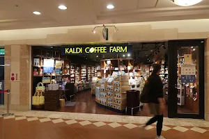 Kaldi coffee farm Sapporo Apia shop image