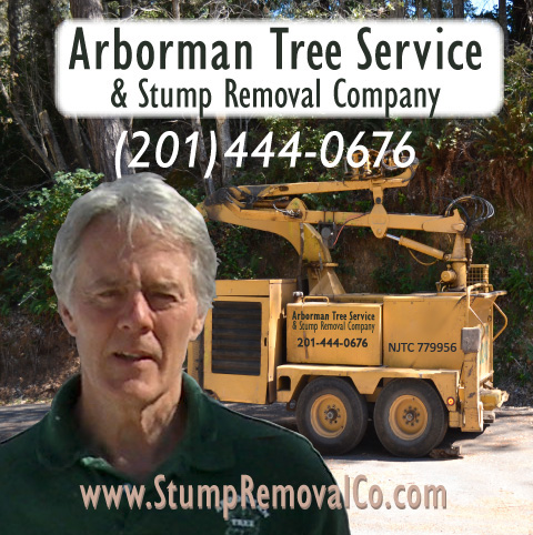 Arborman Tree Service & Stump Removal Co
