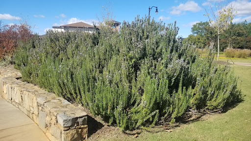 Park «Legacy Park», reviews and photos, 336 Rocky Slope Rd, Greenville, SC 29607, USA