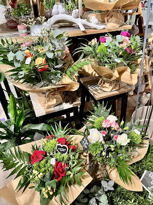 Les plantes de Nicolas à Saint-Aignan