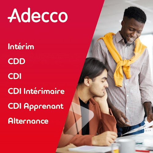 Agence d'intérim Adecco Onsite Leroy Somer ST JEAN DE BRAYE Saint-Jean-de-Braye