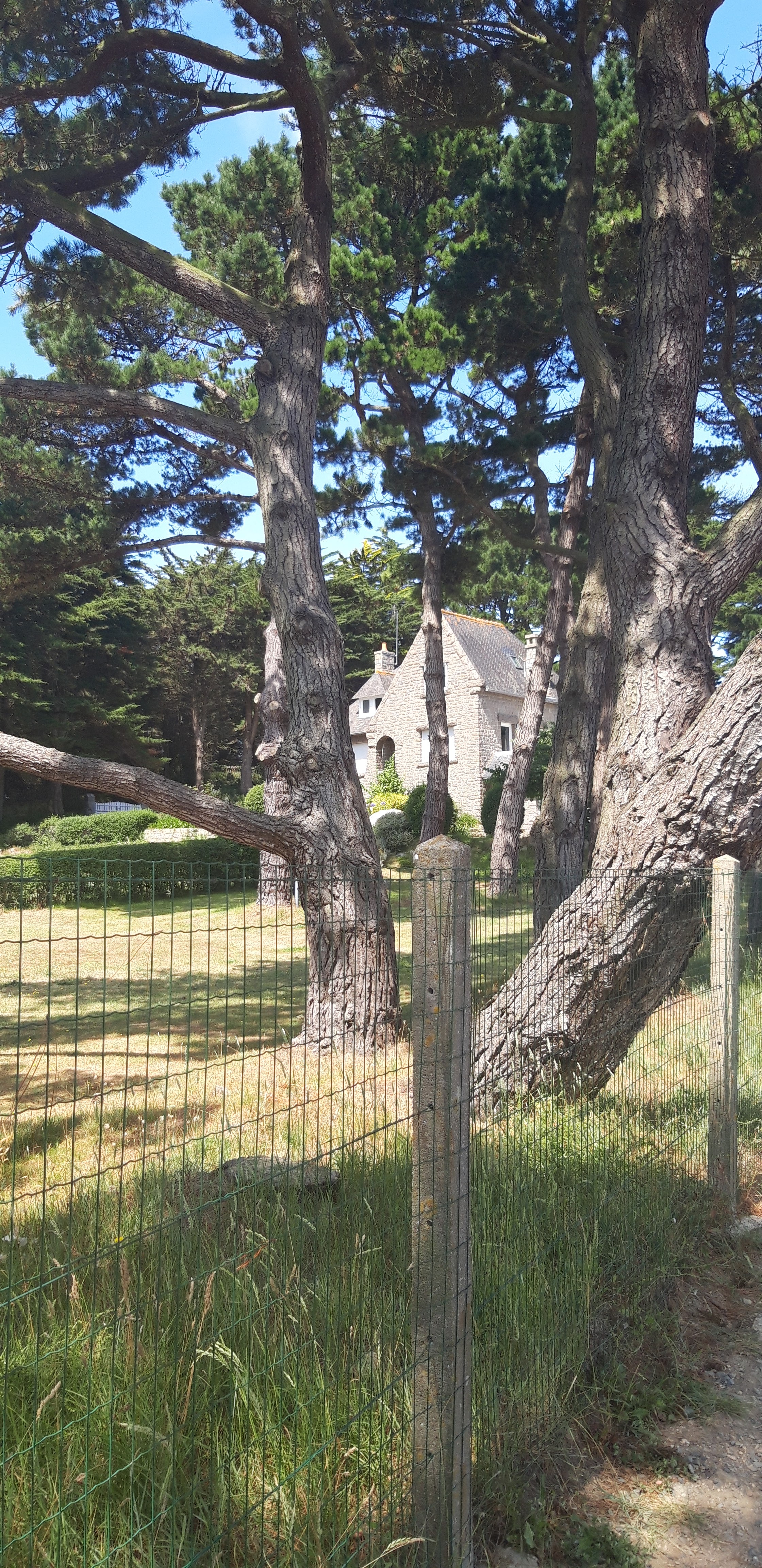 Photo n° 1 de l'avis de Dominique.i fait le 24/07/2019 à 14:48