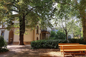 Universität Heidelberg Institut für Bildungswissenschaft (IBW)