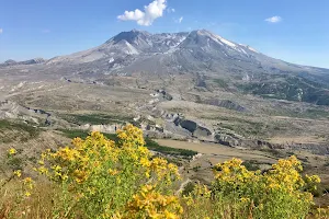 Mount St. Helens National Volcanic Monument image