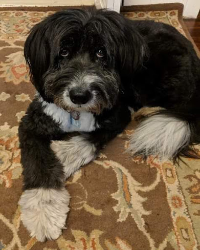 8205 Greenwood Ave N, Seattle, WA 98103, USA