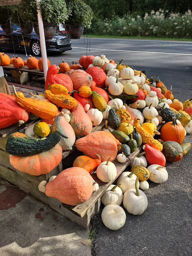 Grocery Store «Red Top Farm Market», reviews and photos, 1801 NJ-70, Southampton Township, NJ 08088, USA