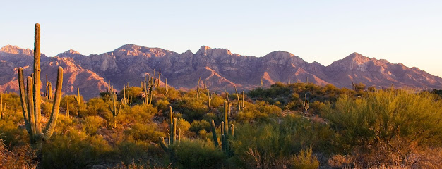 Town of Oro Valley