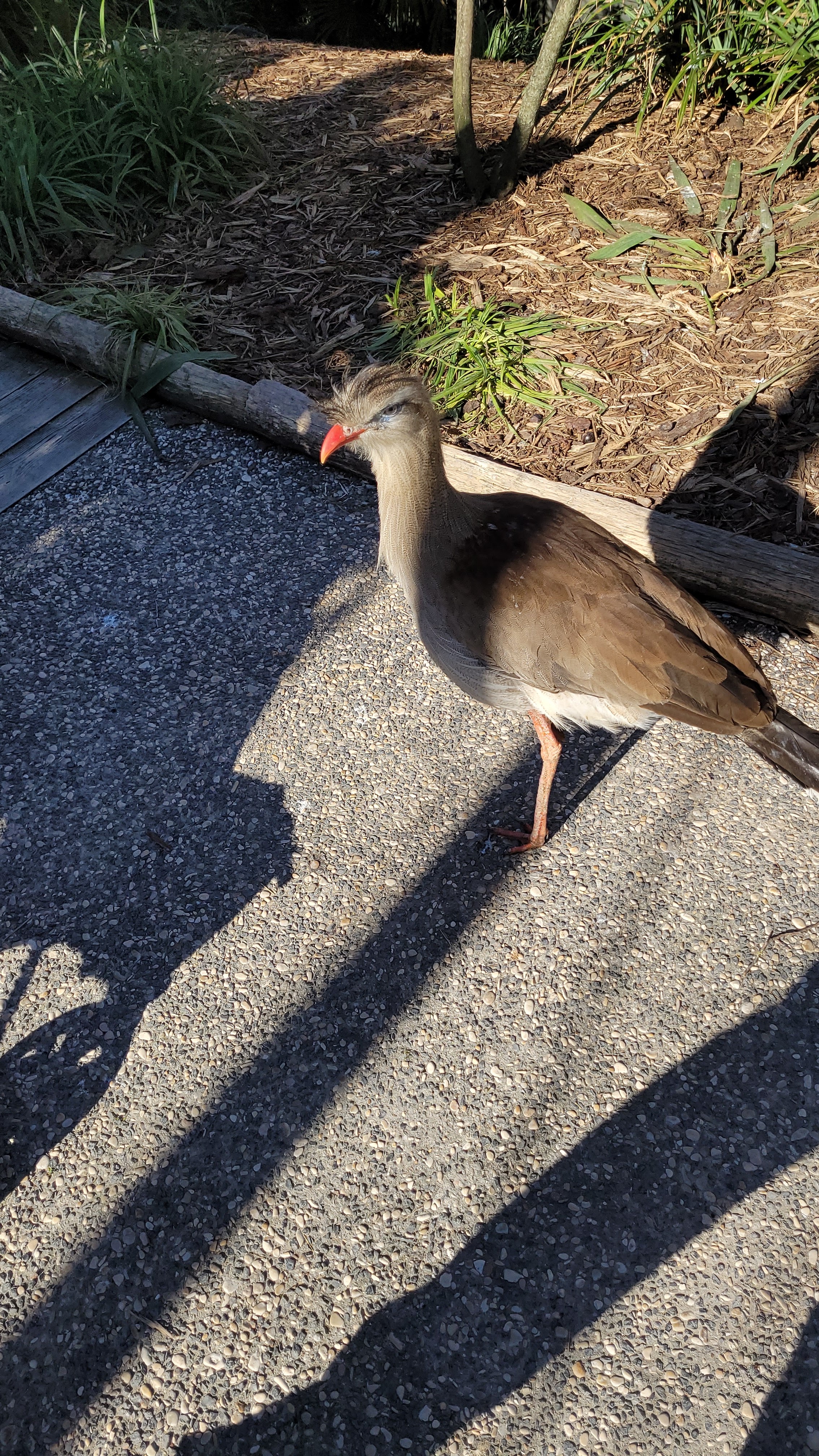 Photo n° 2 de l'avis de Jean.h fait le 28/02/2023 à 21:15