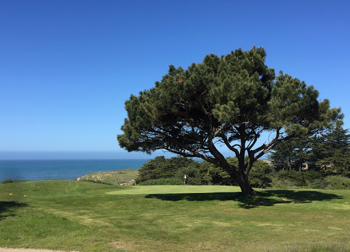 Golf Course «Sea Ranch Golf Links», reviews and photos, 42000 CA-1, Sea Ranch, CA 95497, USA