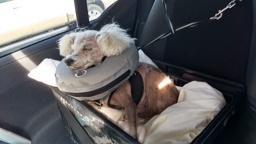 Pet Supply Store «Petco Animal Supplies», reviews and photos, 12801 Chenal Pkwy, Little Rock, AR 72211, USA