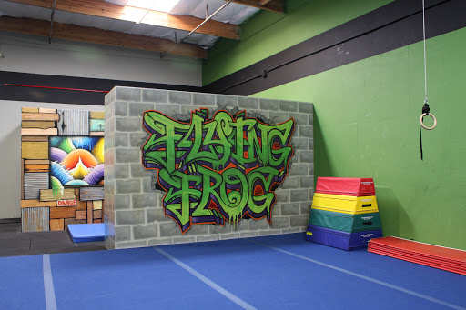 Gym «Flying Frog Academy», reviews and photos, 215 Classic Ct, Rohnert Park, CA 94928, USA