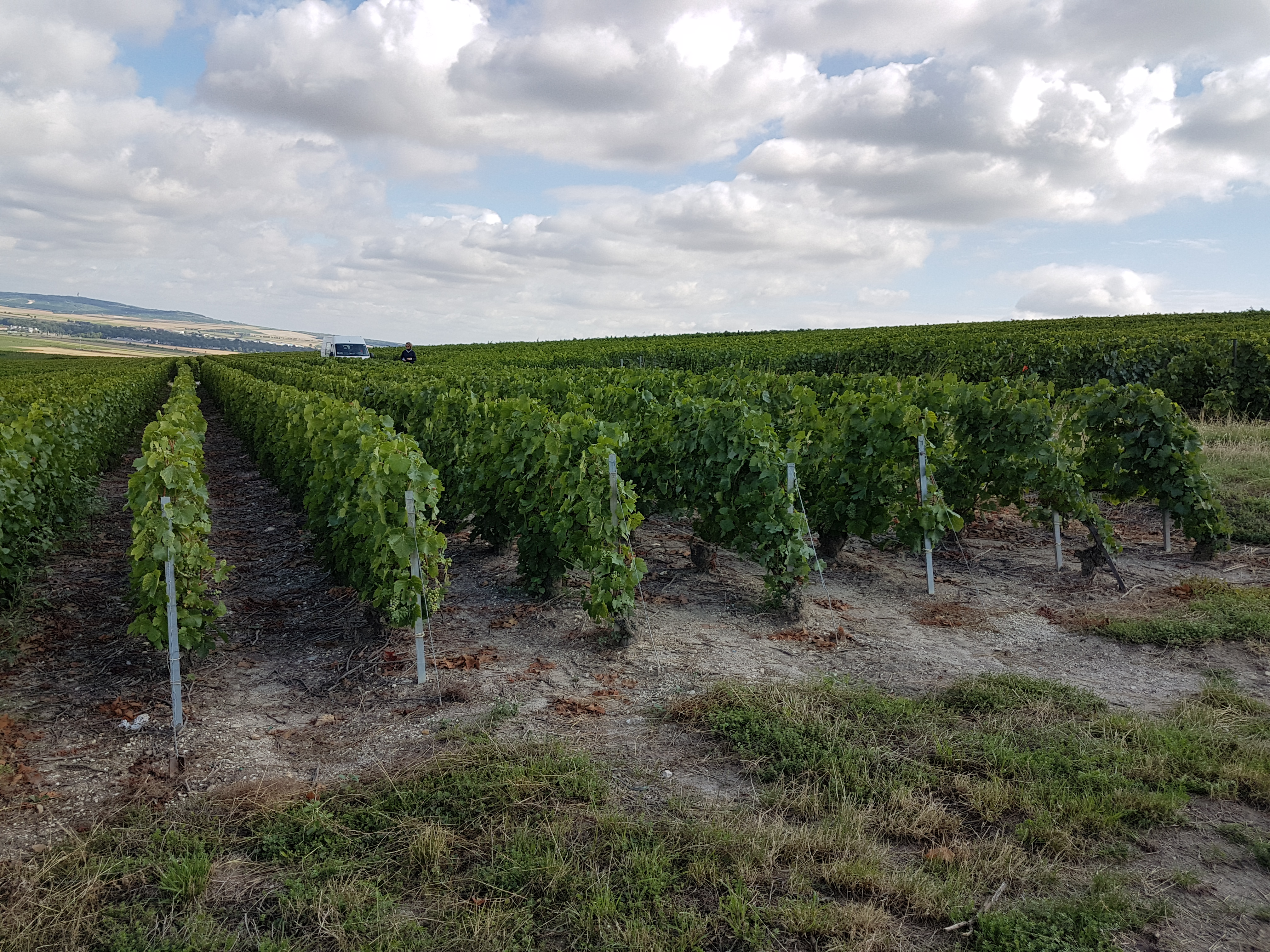 Photo n° 6 de l'avis de TWIN.A fait le 04/10/2019 à 14:05