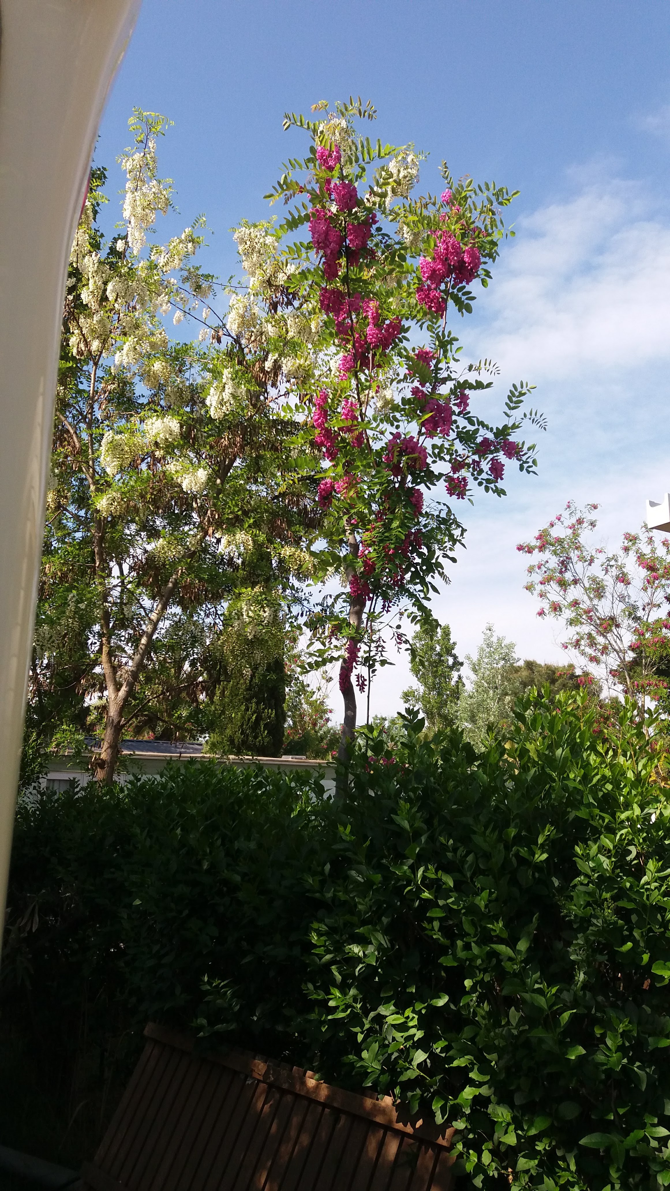 Photo n° 1 de l'avis de mick.a fait le 10/05/2018 à 16:02