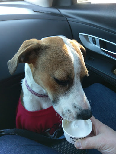 Pet Supply Store «PetSmart», reviews and photos, 860 NE Mall Blvd, Hurst, TX 76053, USA