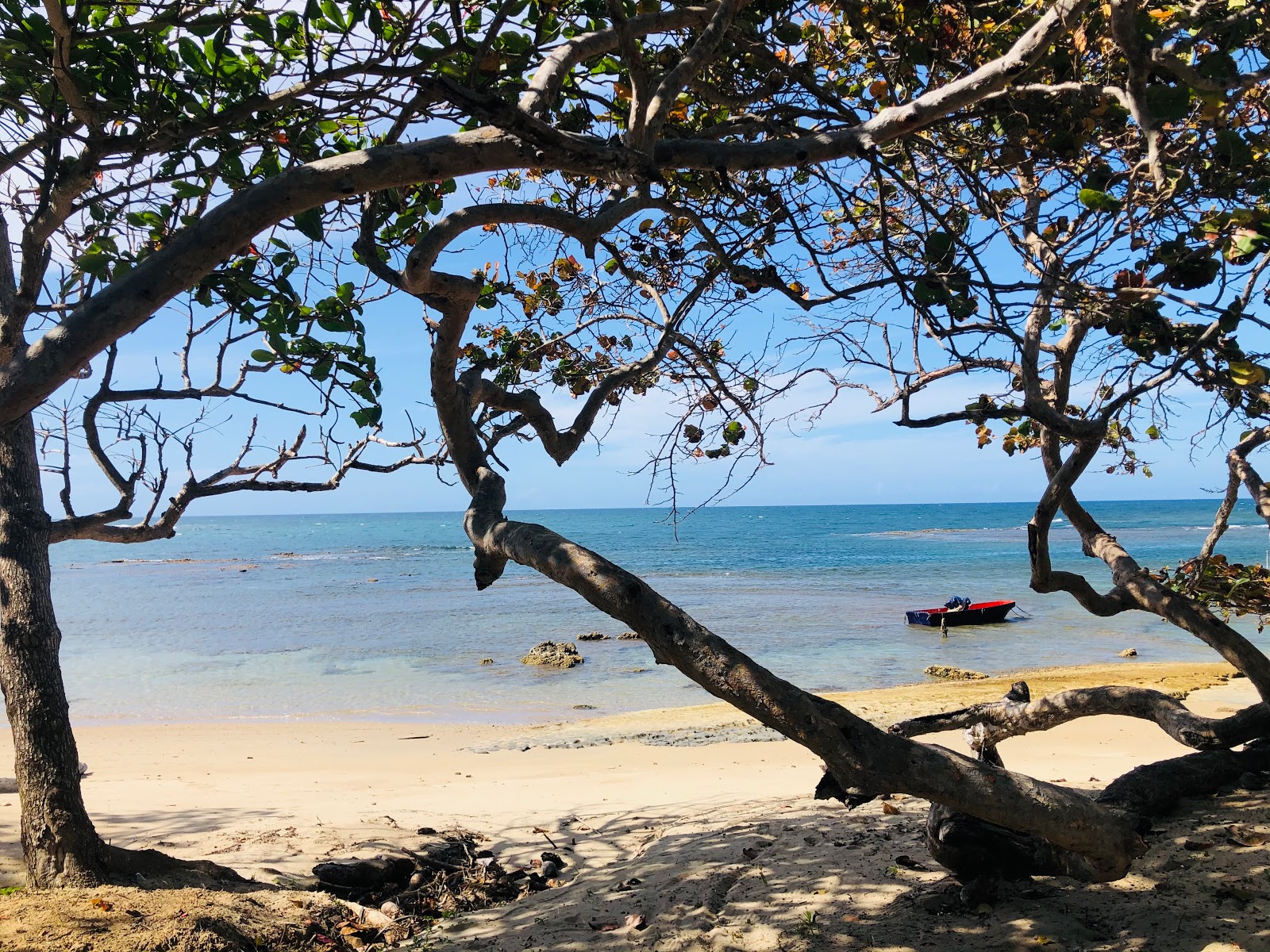 Playa Las Ojaldras'in fotoğrafı düz ve uzun ile birlikte