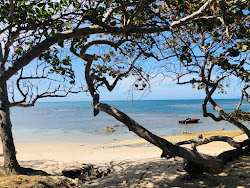 Playa Las Ojaldras'in fotoğrafı düz ve uzun ile birlikte