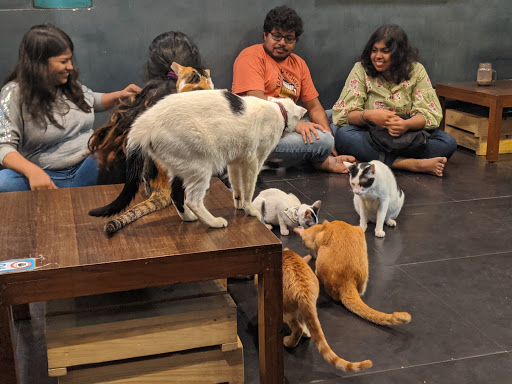 Bungalows that allow dogs in Mumbai
