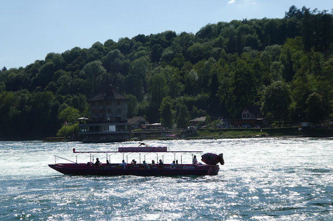 Poststrasse 11, 8212 Neuhausen am Rheinfall, Schweiz