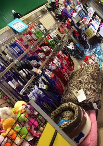 Pet Store «The Pet Shop», reviews and photos, 2235 S Power Rd #107, Mesa, AZ 85209, USA