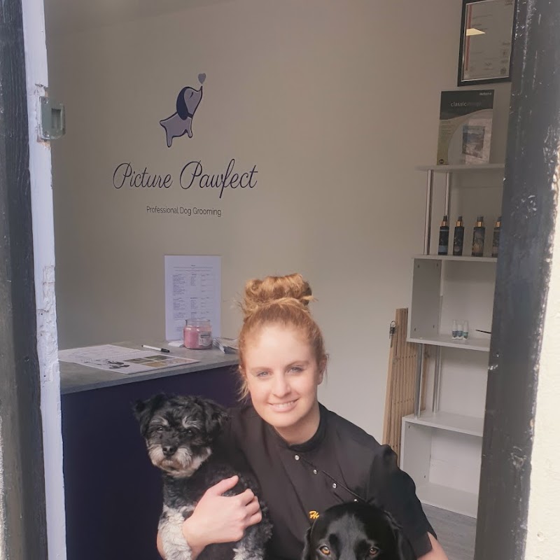 Picture Pawfect Professional Dog Grooming