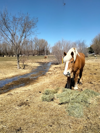 Produce Market «Natura Farms», reviews and photos, 19060 Manning Trail N, Marine on St Croix, MN 55047, USA