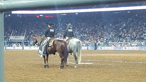 Stadium «NRG Stadium», reviews and photos, NRG Pkwy, Houston, TX 77054, USA