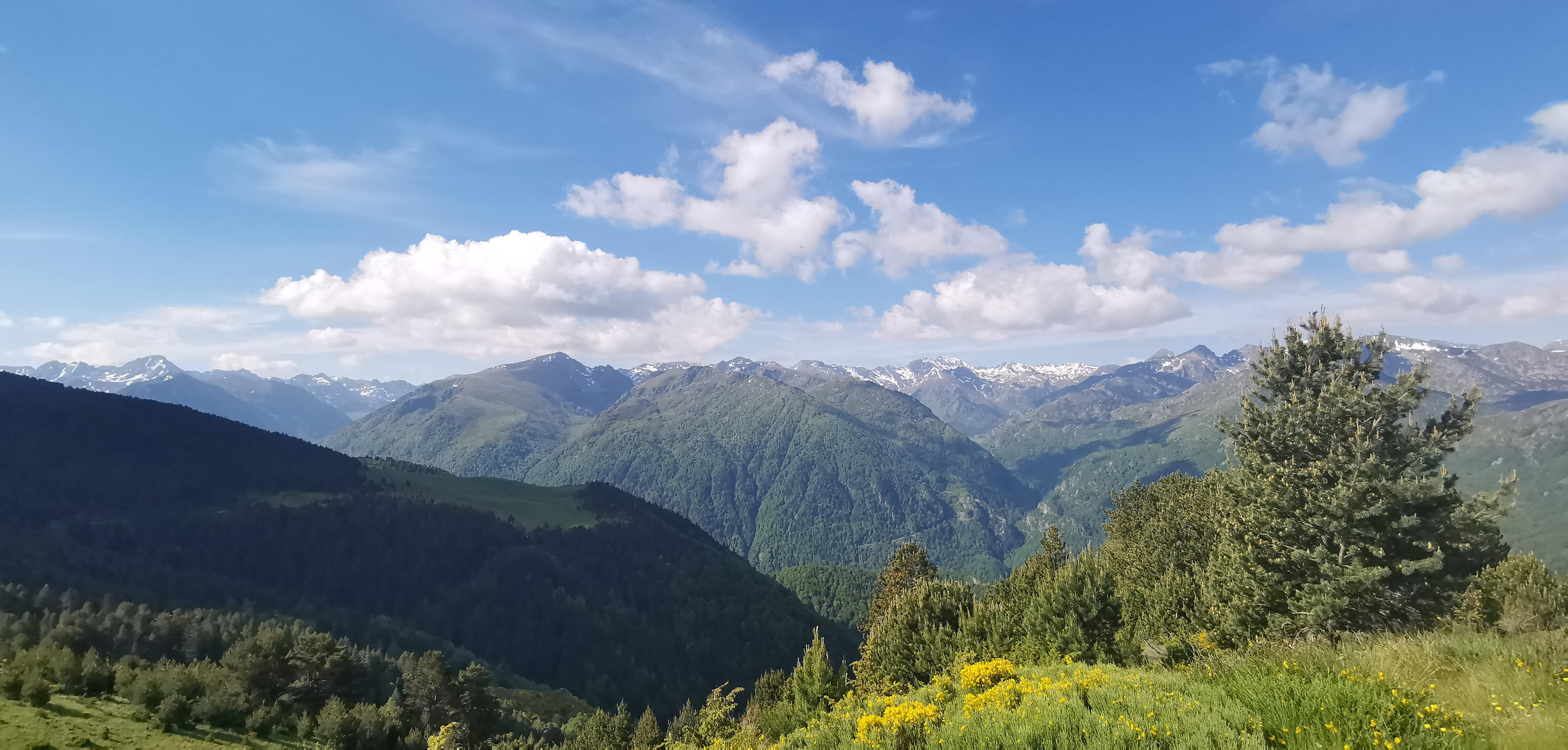 Photo n° 29 de l'avis de Angélique. fait le 03/06/2020 à 18:17