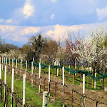 Photo n°2 de l'avis de NASTASE.A fait le 07/01/2018 à 12:45 sur le  Agriturismo Al Vecchio Mulino à Oderzo