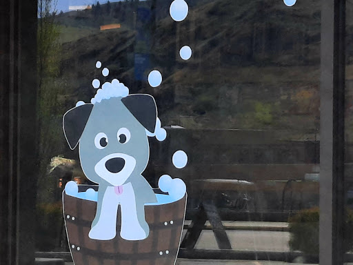 Pet Groomer «All For Paws», reviews and photos, 246 W Manson Hwy #6, Chelan, WA 98816, USA