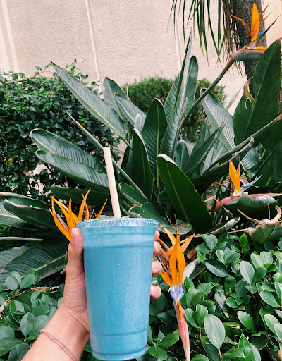 Vitamin & Supplements Store «Earthbar», reviews and photos, 8365 California Route 2, West Hollywood, CA 90069, USA