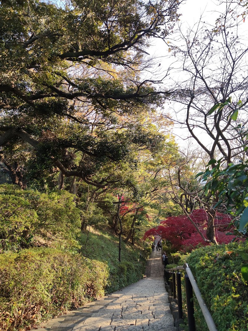 田園調布せせらぎ公園