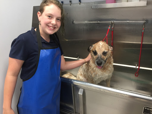 Pet Supply Store «Brookside Barkery & Bath», reviews and photos, 118 W 63rd St, Kansas City, MO 64113, USA