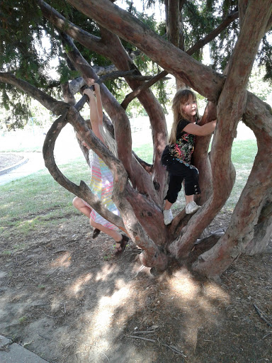 Park «St Clair Shores Park», reviews and photos, 20000 Stephens, St Clair Shores, MI 48080, USA