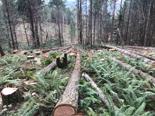 Oregon Logging LLC