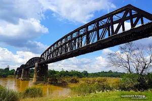 Guillemard Bridge image