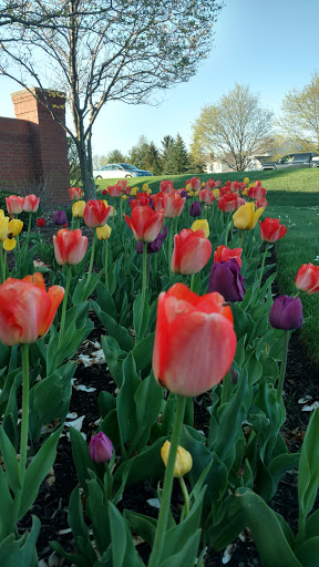 Supermarket «ALDI», reviews and photos, 975 E State St, Geneva, IL 60134, USA