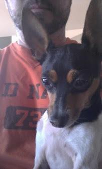 Your Best Friends & Me Pet Care - Photo 9 - Car repair in , Centennial