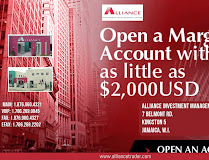 ALLIANCE FINANCIAL SERVICES LIMITED Branch
