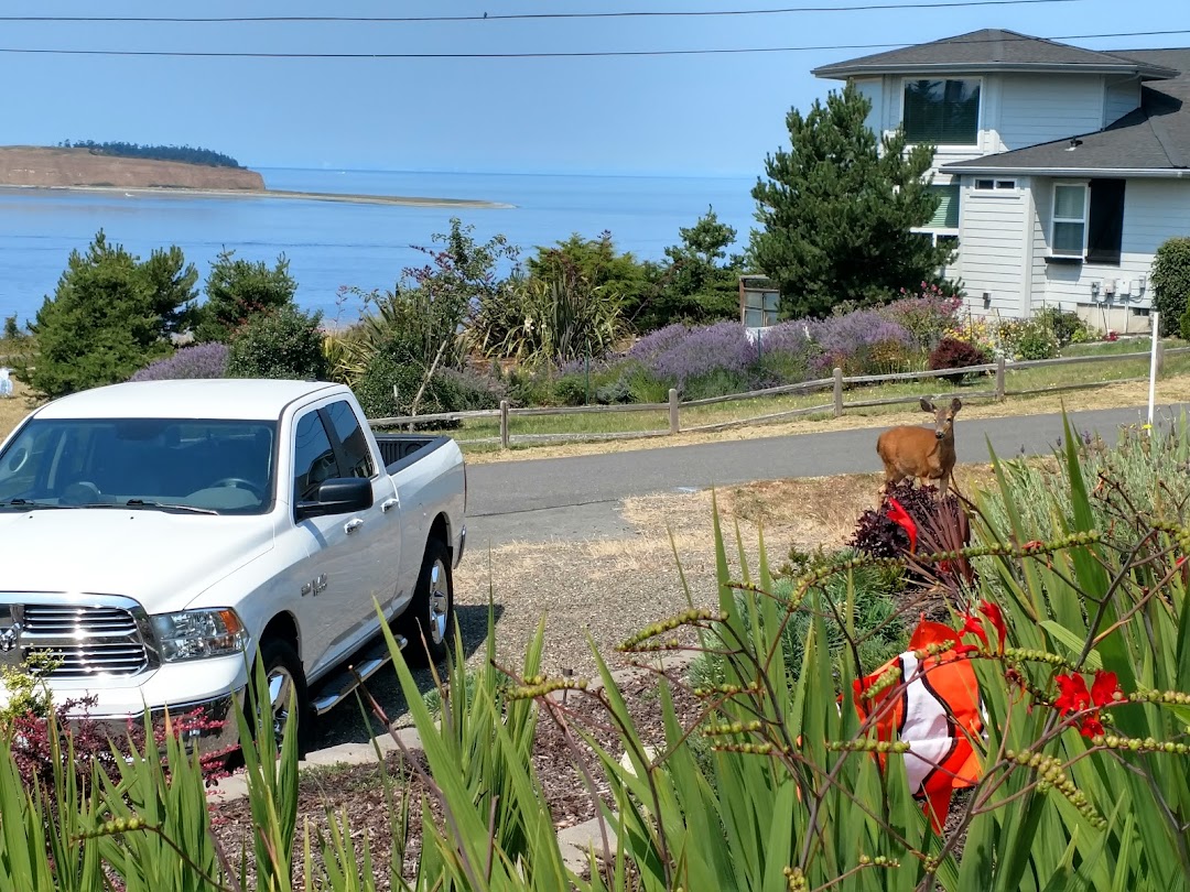 Discovery Bay Marine Gear