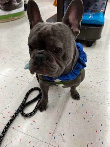 Pet Supply Store «Petco Animal Supplies», reviews and photos, 4616 Millenia Plaza Way, Orlando, FL 32839, USA