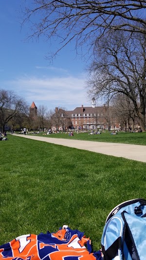 Main Quad - photo 70