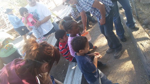 Zoo «Jr Pony Parties», reviews and photos, 1744 N Leonard Ln, Las Vegas, NV 89108, USA